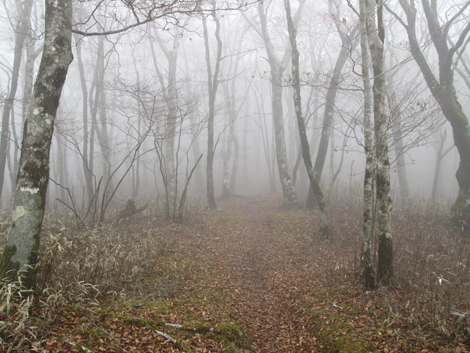 20181205hike (128)